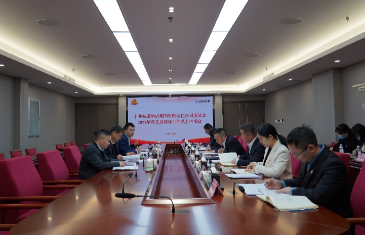 尊龙集团党委书记、董事长任丁出席安逸酒店集团2022年度党员领导干部民主生活会